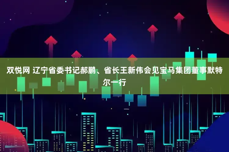 双悦网 辽宁省委书记郝鹏、省长王新伟会见宝马集团董事默特尔一行